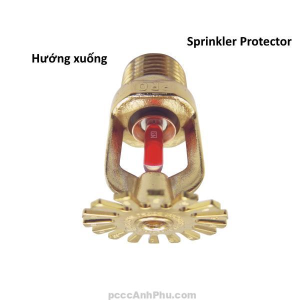 Đầu Phun Sprinkler Protector Ps216 Hướng Xuống