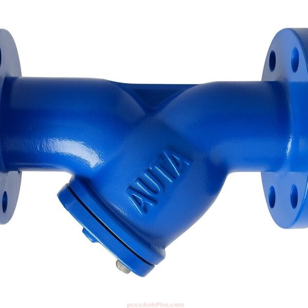 Y Lọc Auta Auta Y Strainer