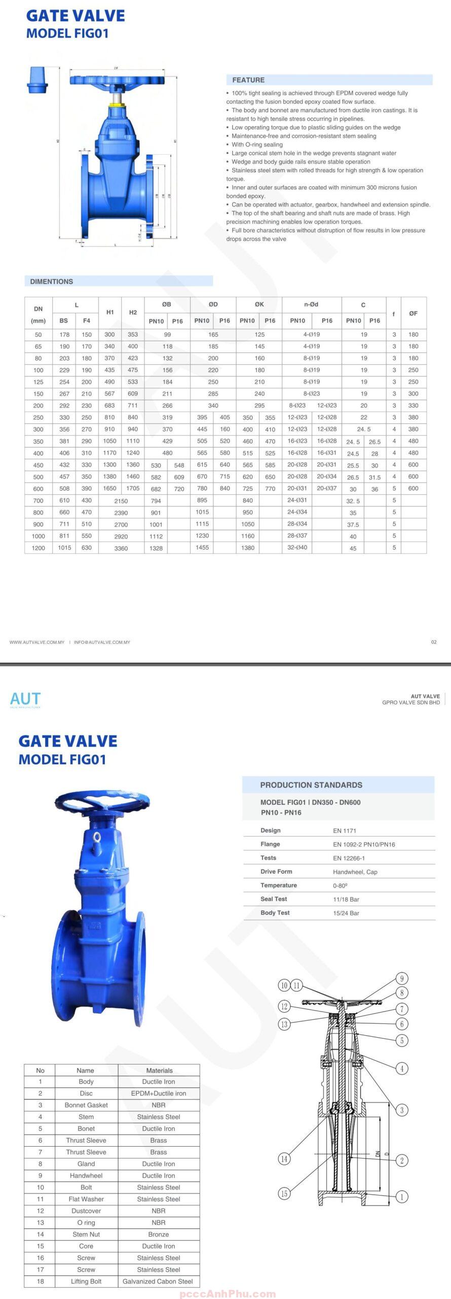 Datasheet van cổng AUT FIG01-DN65