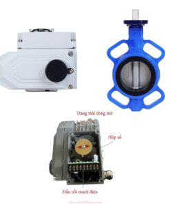 Van Bướm Aut Fig066