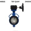 Van Bướm Tay Gạt Shinyi Wbgs 0500