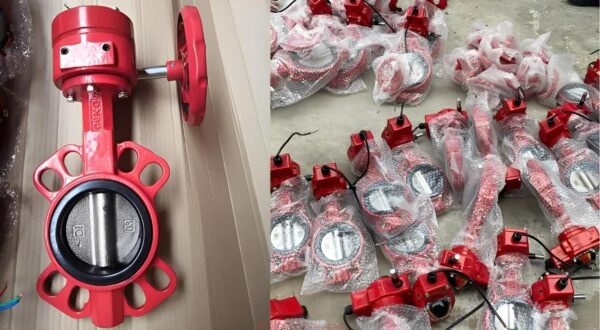 Van Bướm Tín Hiệu Arv Ssb