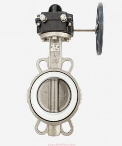 Van Bướm Wonil Wsbg 10