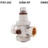 Van Giảm áp Itap.143 Dn80