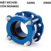 Khớp Nối Mềm Gang Be Hada Dn65