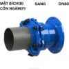 Khớp Nối Mềm Gang Bf Hada Dn80