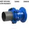 Khớp Nối Mềm Gang Bf Hada Dn800