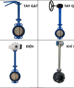 Van Bướm Cổ Dài