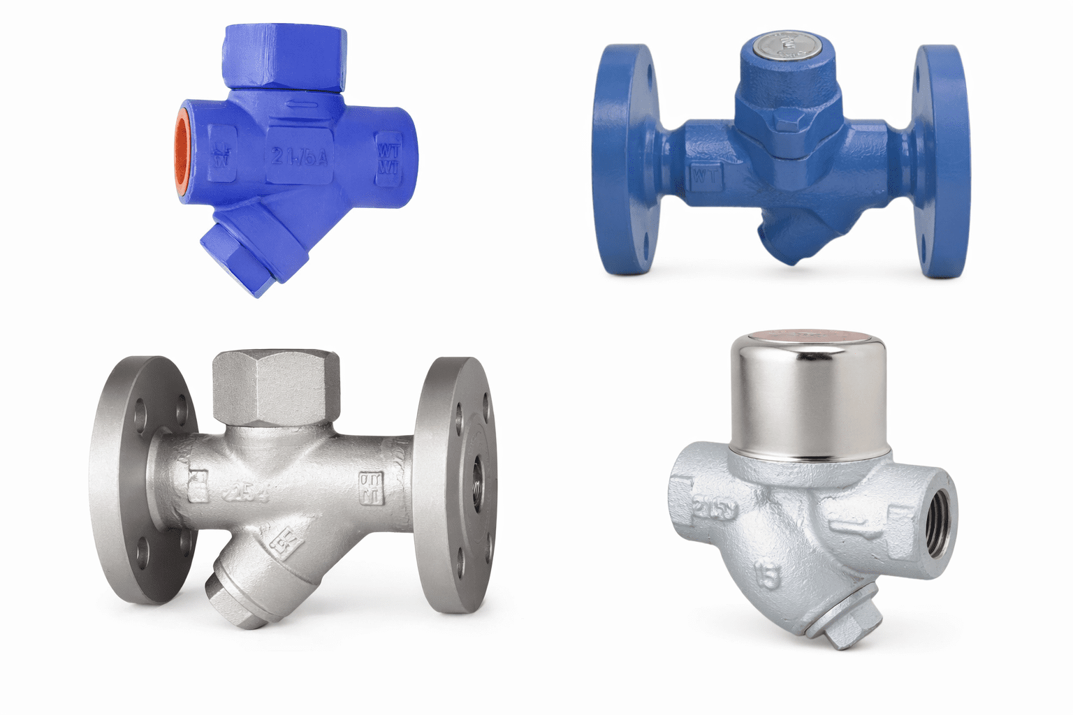 Bẫy hơi đồng tiền