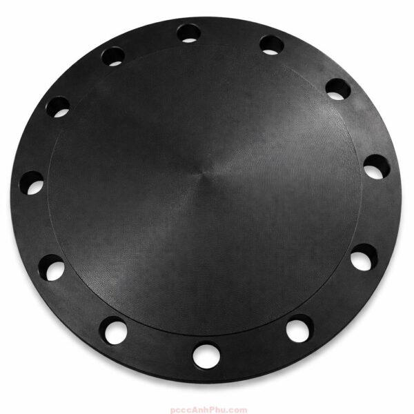 Bích đặc Thép đen